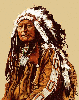 Chief Spotted Elk Tapestry Afghan